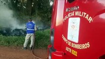 Bombeiros combatem incêndio em vegetação perto do Trevo Cataratas