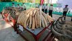 Myanmar destroys confiscated ivory, opens elephant museum