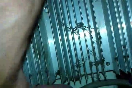 Bebedouro fort ft - 1096 parte 2