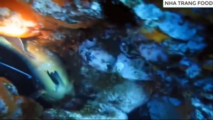 Diving to catch goby fish in Nha Trang sea