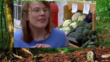 Midsomer Mrds S12E07 - Part 02  Watch