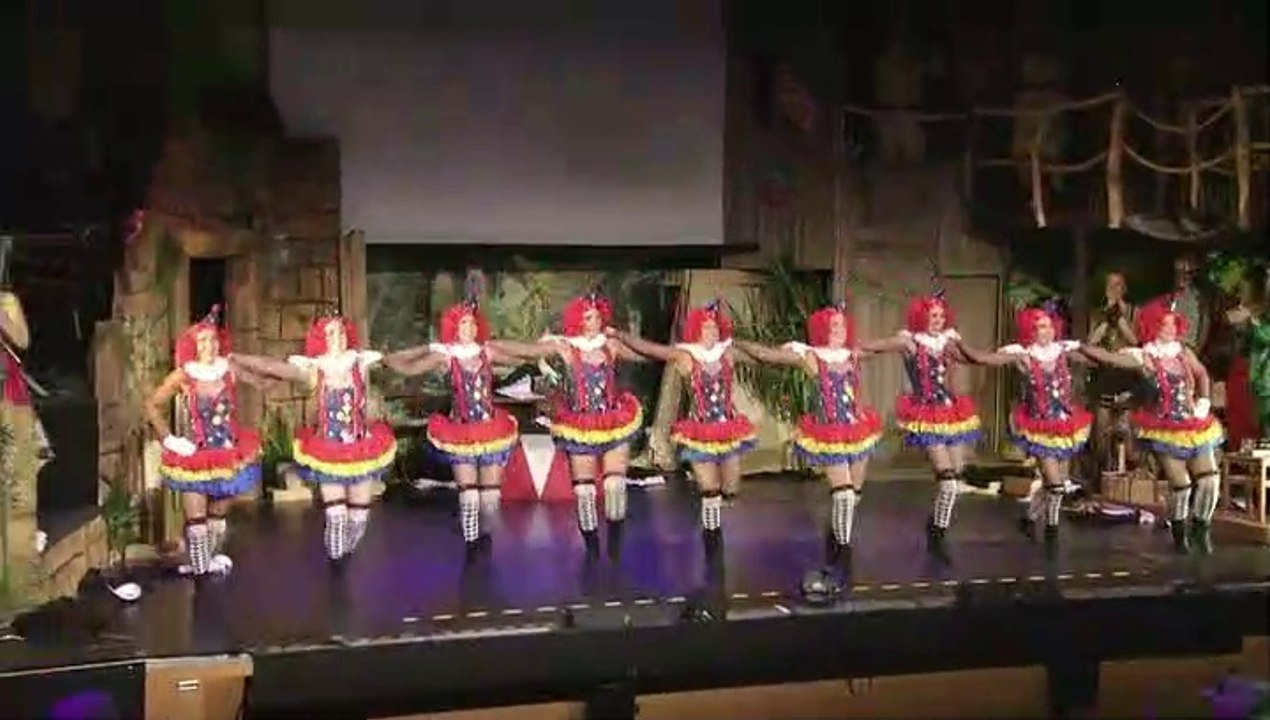 Flörsheim feiert Fassenacht 2019 Teil 3