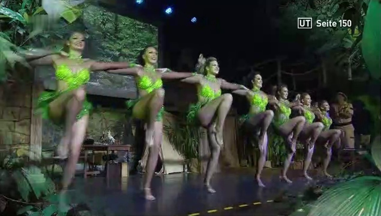 Flörsheim feiert Fassenacht 2019 Teil 1