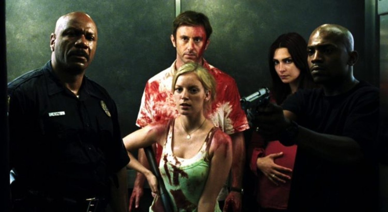Dawn of the Dead Movie (2004)  Sarah Polley, Ving Rhames, Jake Weber, Mekhi Phifer