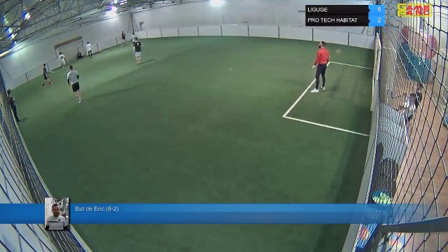 But de Eric (8-2) - LIGUGE Vs PRO TECH HABITAT - 04/03/19 20:03 - LIGUE 1 - Poitiers Game Parc