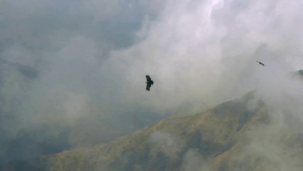 تغطية خاصة من "أبها" و"عسير"..  اليوم في صباح الخير يا عرب