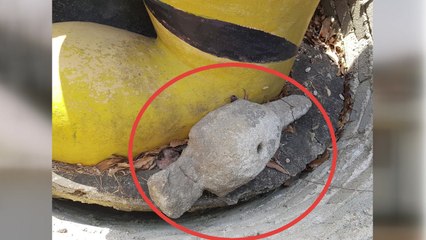 도둑맞은 '마을 수호신' 돌오리상, 16년 만에 제자리로 / YTN