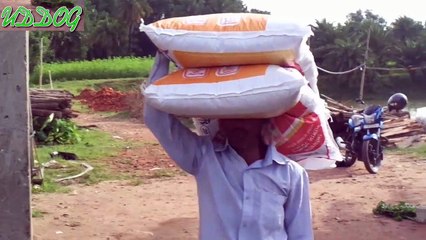 Fish Feeding In Big Pond Of Rural Village HD