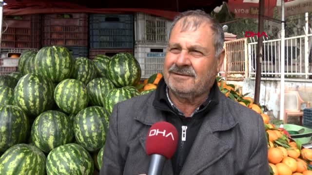 Adana İran Karpuzu, Kilosu 5 Liradan Tezgahta