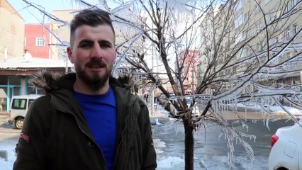 'Ağaçlar çiçek açması gerekirken buz tuttu' - KARS