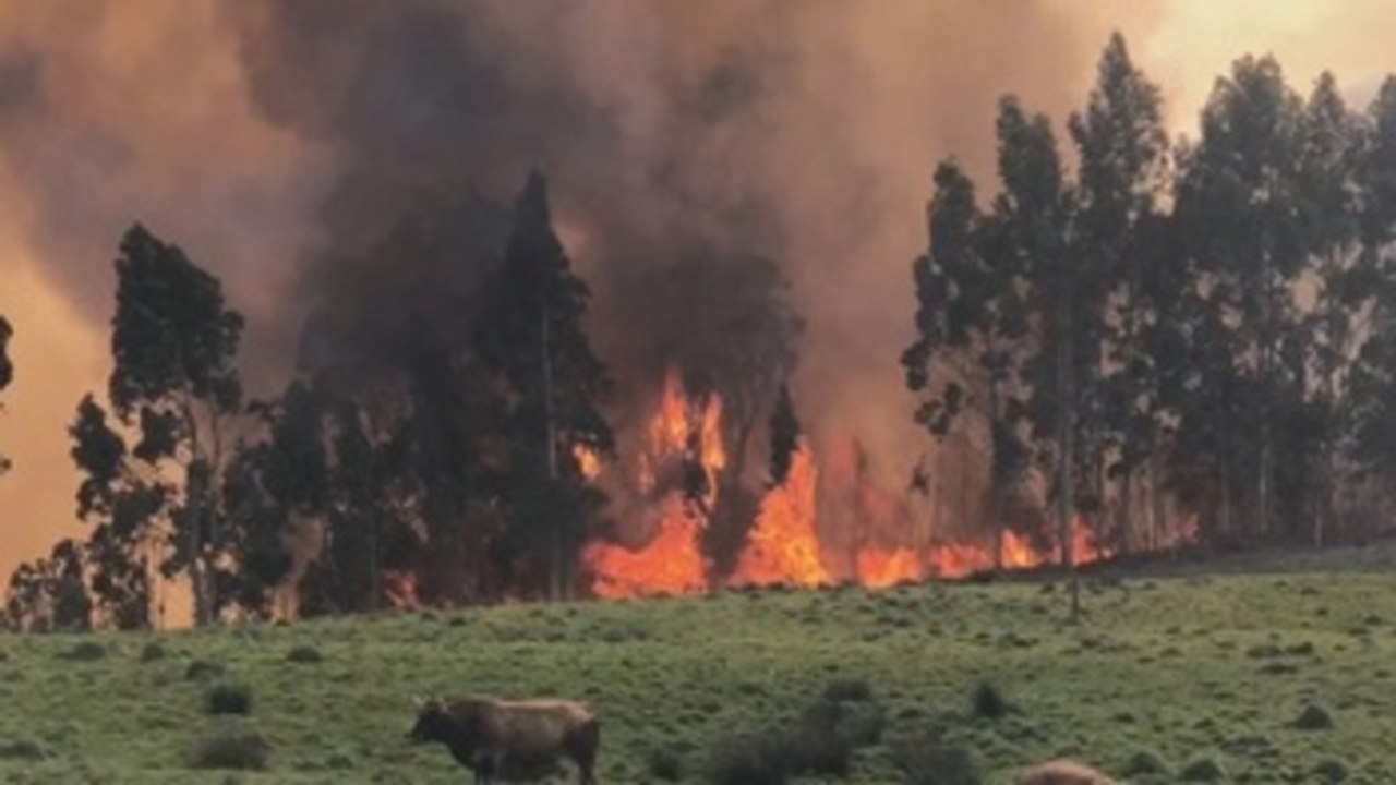 Se mantienen activos 37 incendios en una veintena de municipios de Asturias