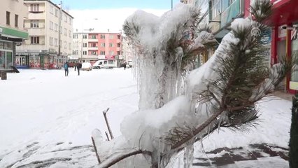 Ağaçlar Çiçek Açması Gerekirken Buz Tuttu" - Kars