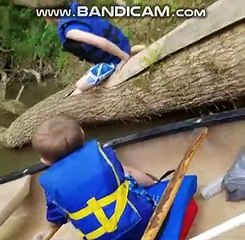 TRY NOT TO LAUGH - Best FAILS VINES - Funny Videos mars 2019