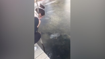 Une fille essaie de briser la glace avec un bâton mais tout ne va pas se passer comme prévu...