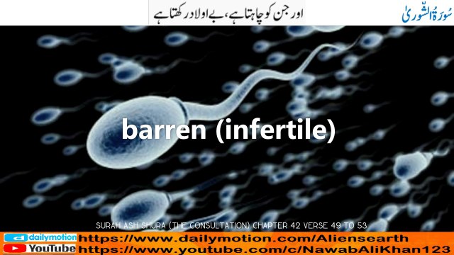 Quran Visualization Surah Ash Shura (The Consultation) Chapter 42 verse 49 to 53 with English & Urdu Translation