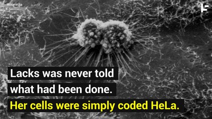 Henrietta Lacks: The Unknown Woman Who Helped Save Modern Medicine