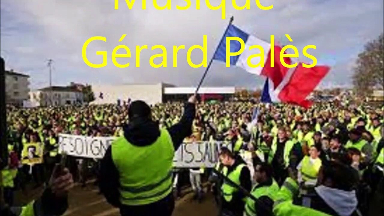 Les Gilets Jaunes de Gérard Palès