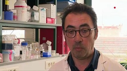 Londres : un deuxième patient officiellement guéri du Sida