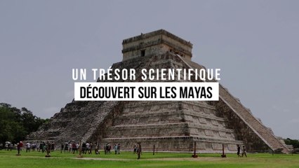 Un trésor scientifique découvert sur les mayas