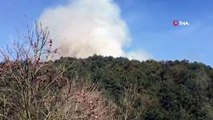 Sultangazi Cebeci Köyü'nde ormanlık alanda yangın çıktı. Olay yerine çok sayıda itfaiye ekibi sevk edildi