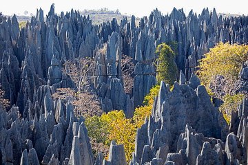 Une "cathédrale de calcaire" à Madagascar