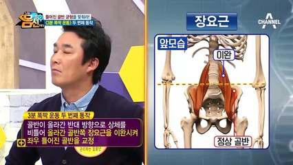 3분 골반 교정법! 매일 3분 만으로 내 골반 균형 찾기