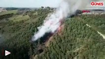 Sultangazi'de orman yangını devam ediyor