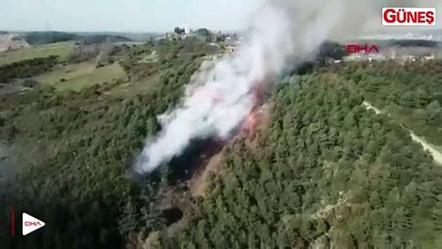 Sultangazi'de orman yangını devam ediyor