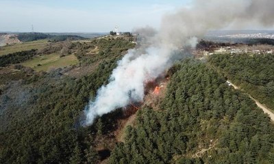Sultangazi'de orman yangını