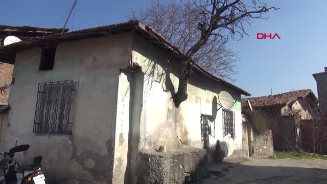 Çorum Gövdesi Evin Duvarı İçinde Kalan Ağaç İlgi Çekiyor