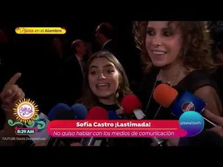 David Zepeda niega ser bisexual | Sale el Sol