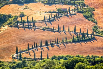 Un road trip à travers la Toscane