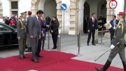 أمير قطر تميم بن حمد آل ثاني يلتقي الرئيس النمساوي ألكسندر فان دير بيلين في فيينا