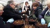Reprise des ateliers jardinage Les Mardis aux serres à Nancy