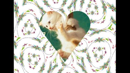 Hang in there friend [Quotes and Poems]