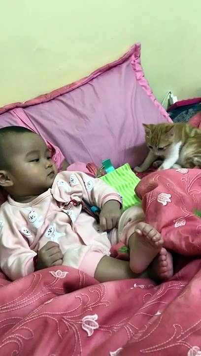 Ce bébé a éternué et a bien effrayé son chaton