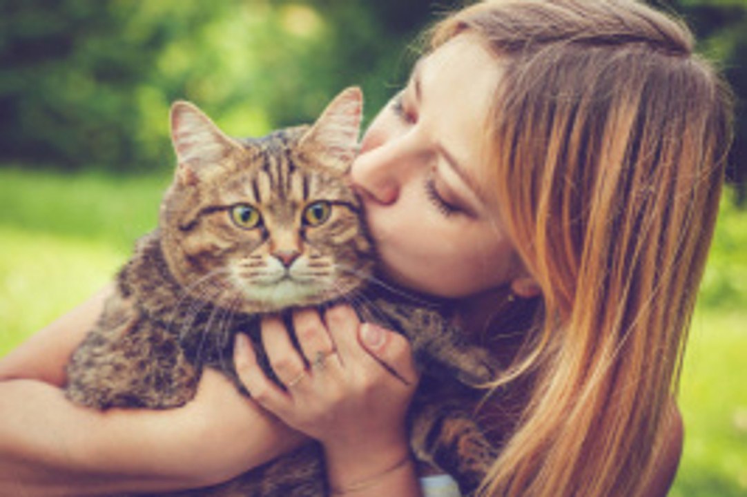 Die 10 teuersten Katzenrassen