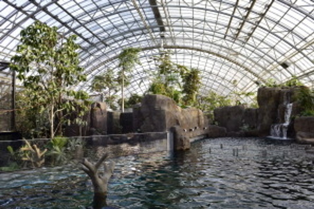 Die schönsten Zoos der Welt