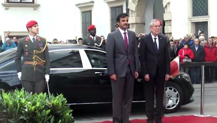 Avusturya’da Al Sani – Van der Bellen görüşmesi - VİYANA