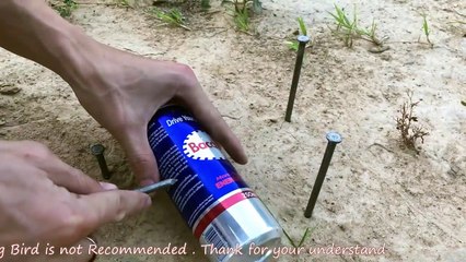 Amazing Bird Trap Using Steel Nail and Slim Cans 250ml