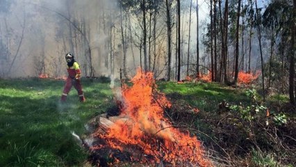 Incendios en Asturias se avecina una noche infernal! Anuncian llegada de un temporal de viento