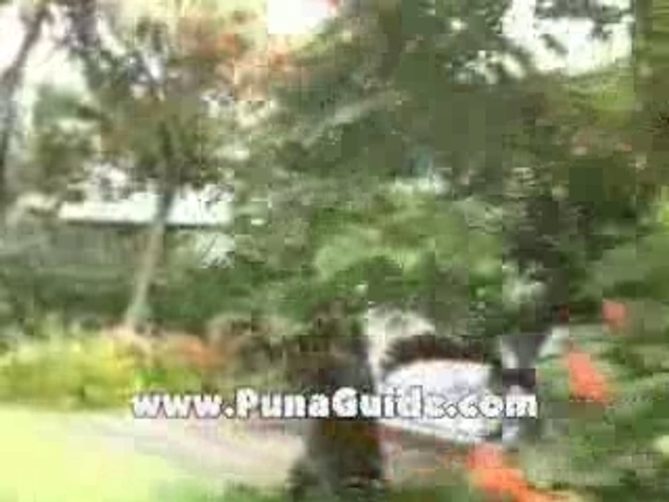 Affordable Hawaii Real Estate - Kehena Beach Subdivisions