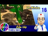 THVL | Dr. Khỏe – Tập 16: Cần tây