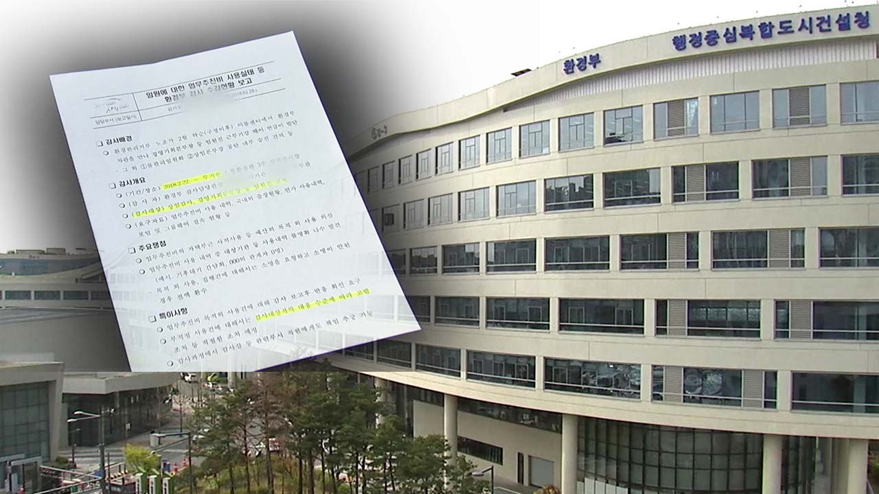 [단독] 환경부, 집중감사 뒤 보고서 누락...검찰, 표적감사 의심 / YTN