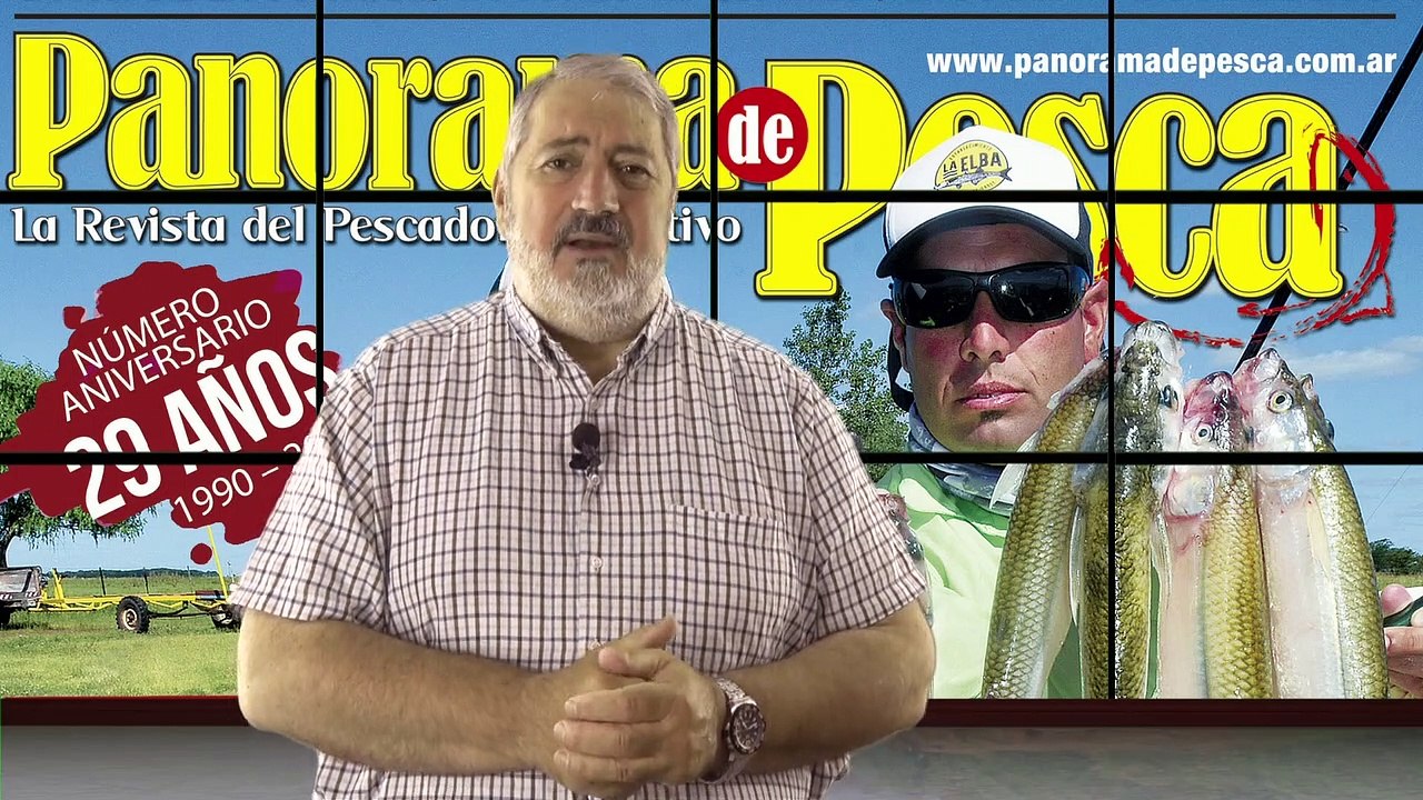 Panorama TV 425