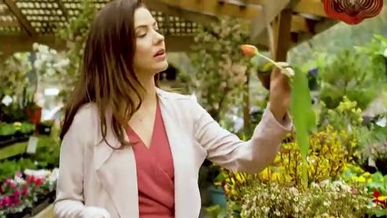 Hallmark Spring Fever 2019 Trailer