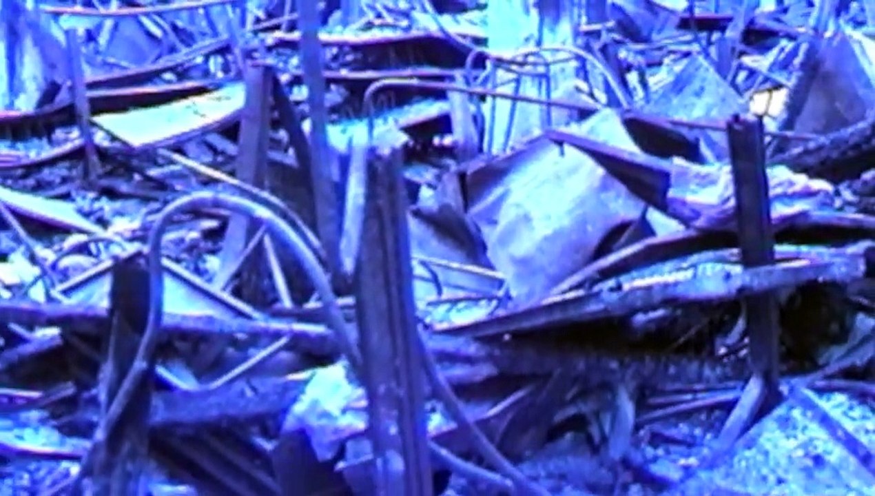 The L.A. Riots: Rising from the Ashes - Scott Shaw Zen Filmmaking.