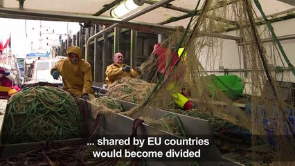 French fishermen fear "war" after Brexit