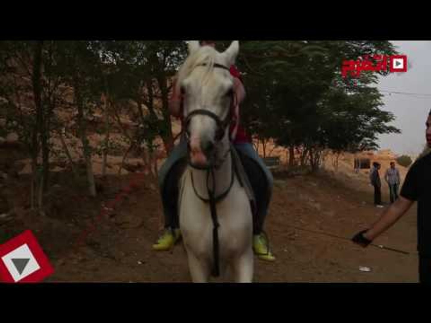 اتفرج كيف تصبح فارس وتحترف ركوب الخيل في أسرع وقت فيديو Dailymotion