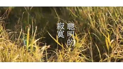 安妮朵拉-聰明的寂寞 (Original)